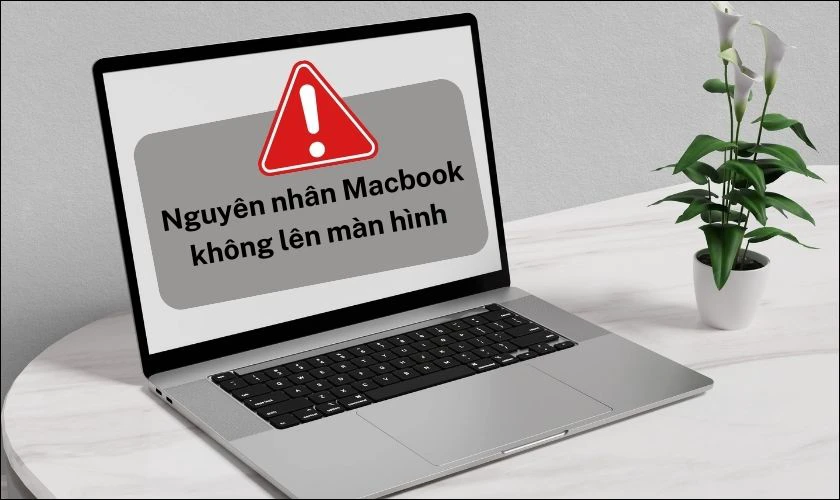 Nguyên nhân gây ra tình trạng MacBook không lên màn hình