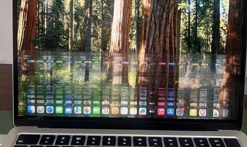 Màn hình hiển thị không ổn định hoặc mất hình