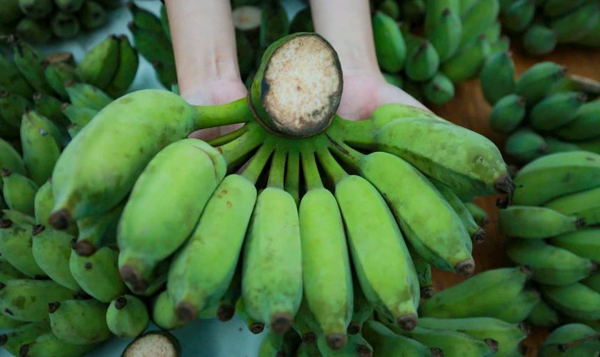 Mâm ngũ quả miền Bắc gồm những gì - Nải chuối xanh
