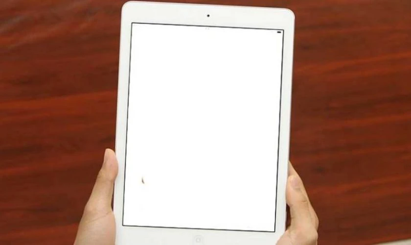 Dấu hiệu nhận biết lỗi màn hình iPad Air 2 bị nhòe màu