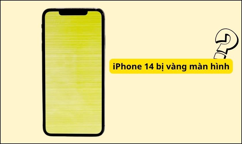 Màn hình iPhone 14 bị vàng là tình trạng gì