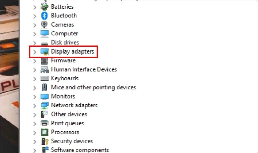 Chọn Display Adapters