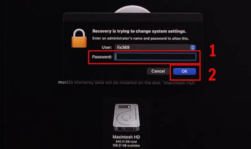 Nhập mật khẩu và nhấn OK để hoàn tất cài đặt MacOS cho màn bị ám xanh