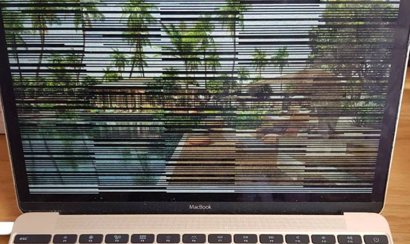 Màn hình MacBook bị sọc do lỗi kết nối giữa màn hình và Screen Card