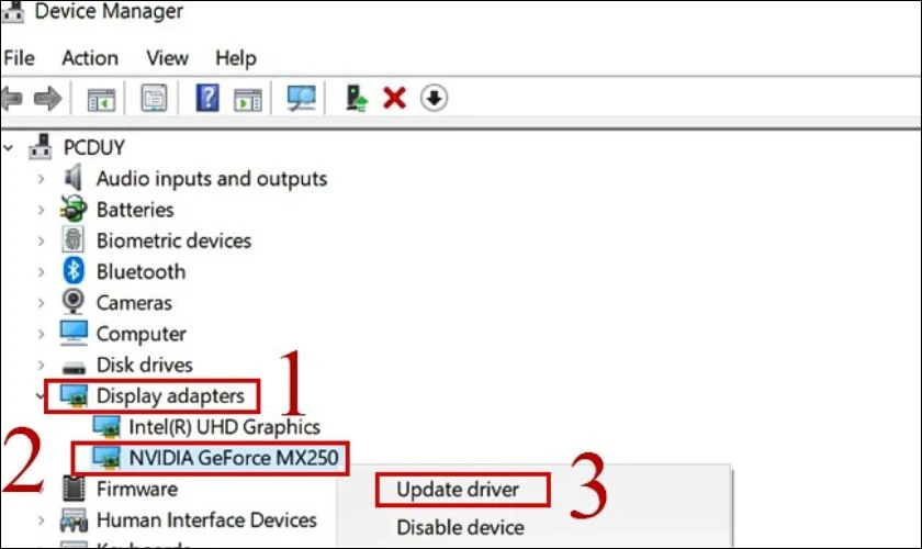 Bạn click chuột phải vào NVIDIA GeForce MX250 và chọn Update Driver