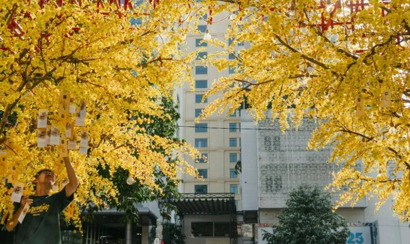 Thư chúc Tết 2026 Bính Ngọ dành cho tất cả mọi người