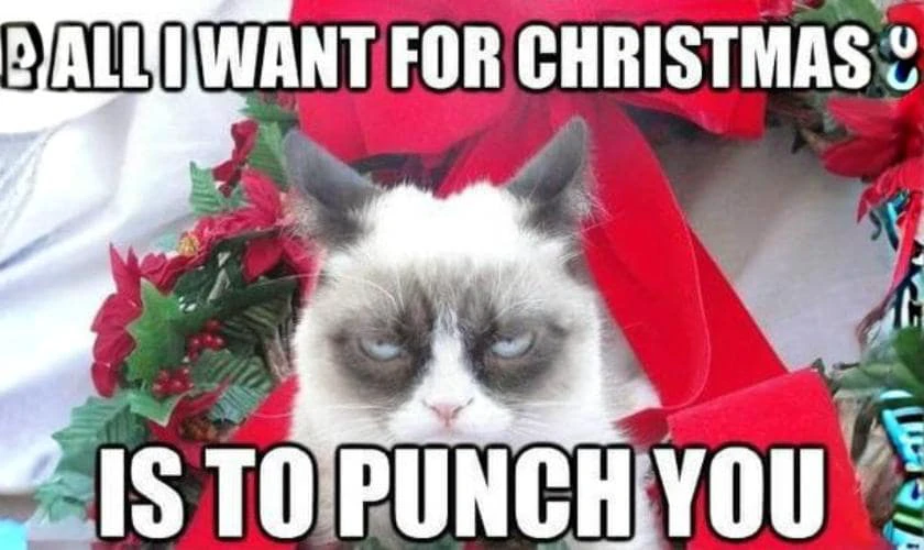 Meme Giáng Sinh tiếng Anh với câu đùa dí dỏm