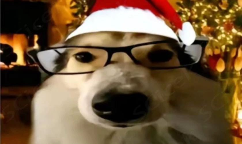 Meme Noel bá đạo troll người xem