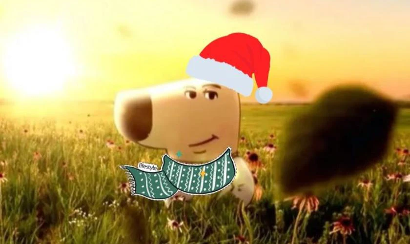 Ảnh meme Giáng Sinh hài hước