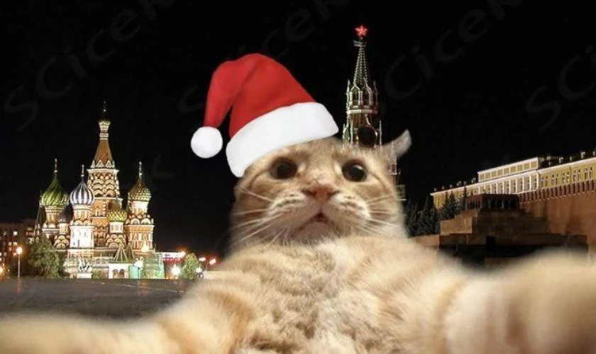 Hình meme Noel vui nhộn biểu cảm kỳ lạ