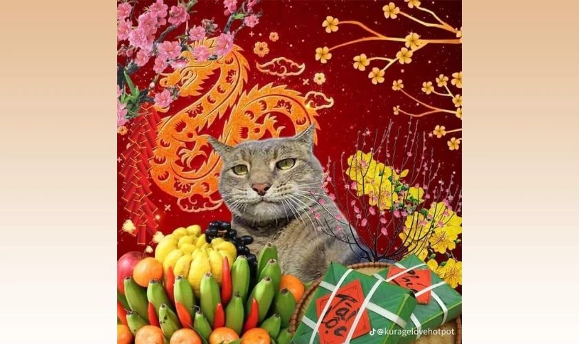 Meme mèo ngày Tết bựa, bá đạo 2026