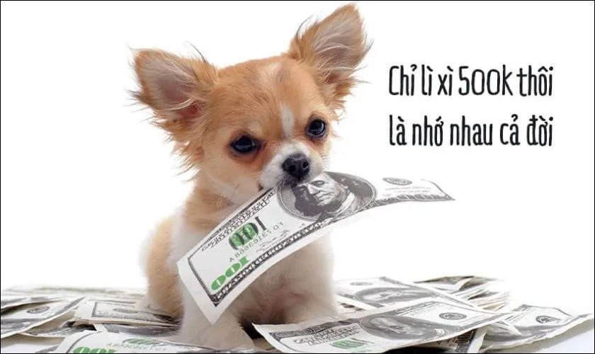 Ảnh meme Tết hình con chó dễ thương