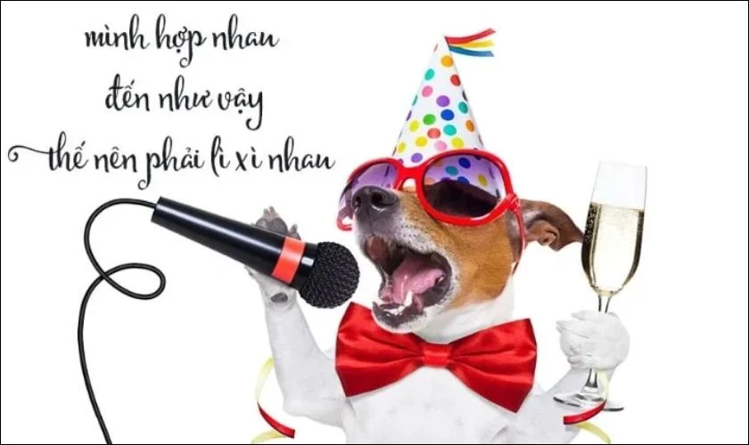 Ảnh meme Tết hình con chó đáng yêu