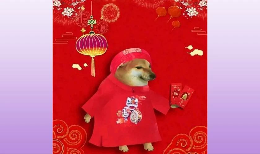 Ảnh meme Tết hình con chó cute