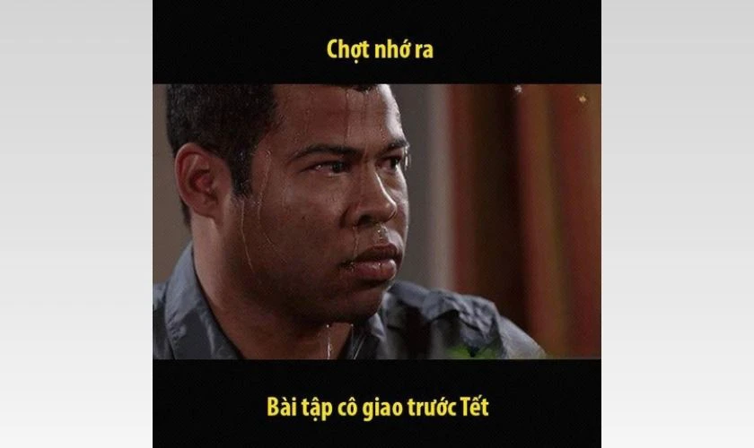 Meme Tết 2026 về học tập, thi cử hài hước