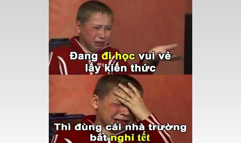 Meme Tết 2026 dành cho học sinh