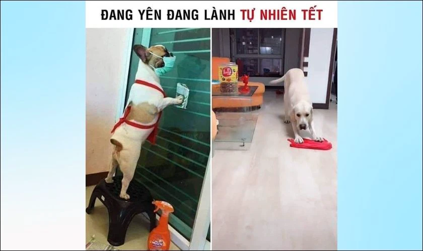 Meme dọn nhà ngày Tết cực vui