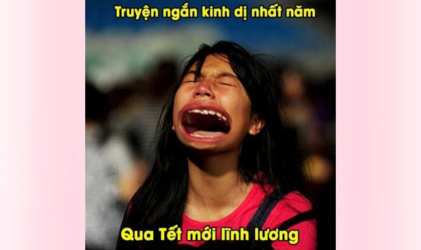 Meme Tết 2026 vui nhộn