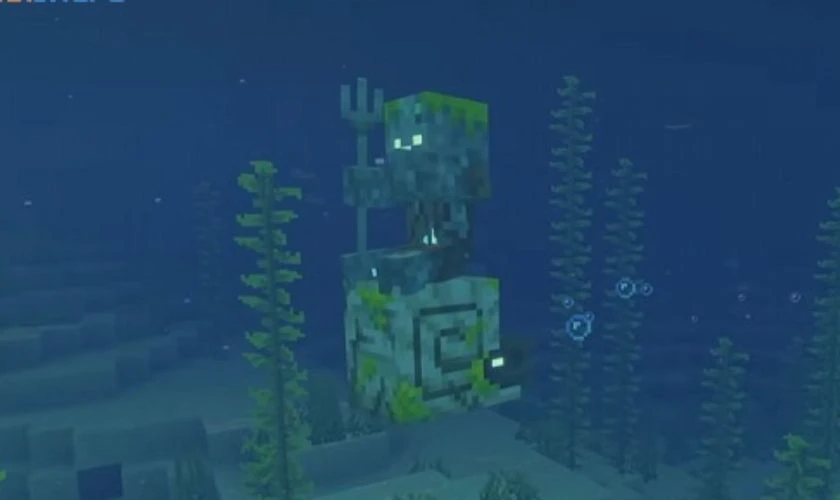 Zombie Nautilus – Mối đe dọa đáng sợ nơi đáy biển