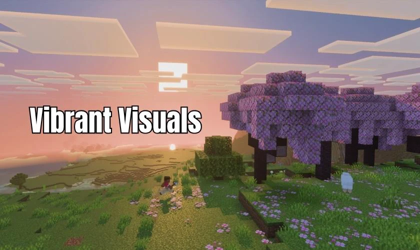 Kích hoạt Vibrant Visuals