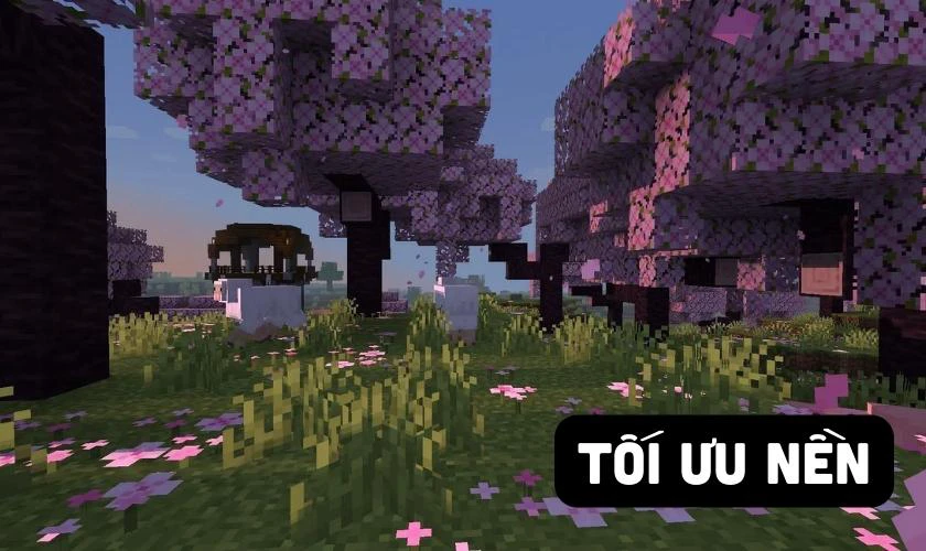 Tối ưu nền