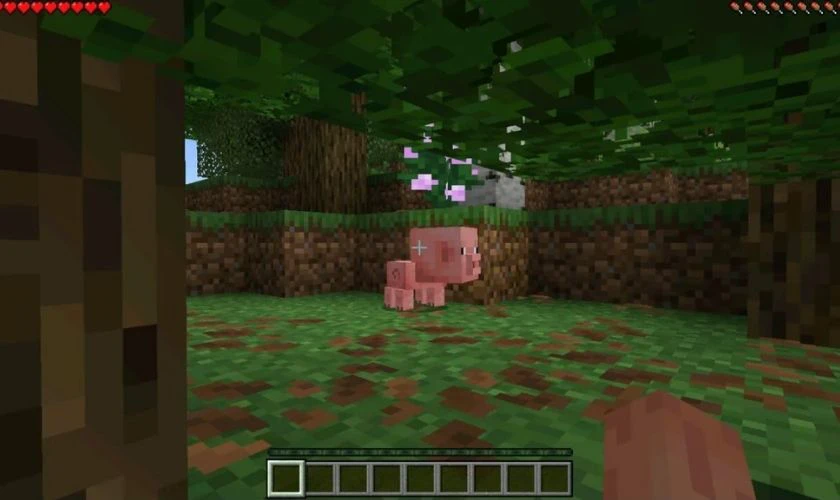 Mở game và kiểm tra phiên bản