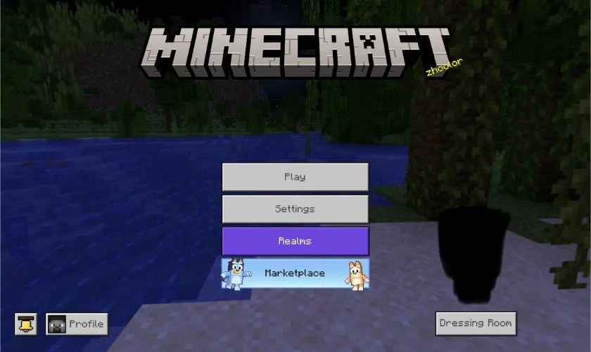 Mở game và tùy chỉnh cài đặt