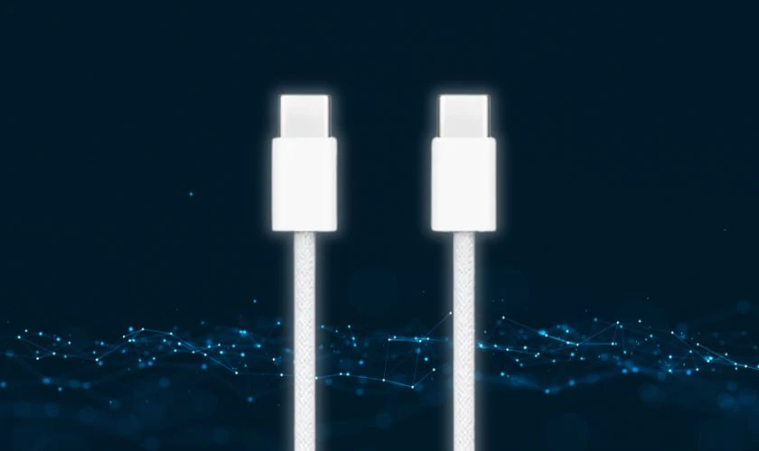 Cáp Type C 1m Apple MQKJ3