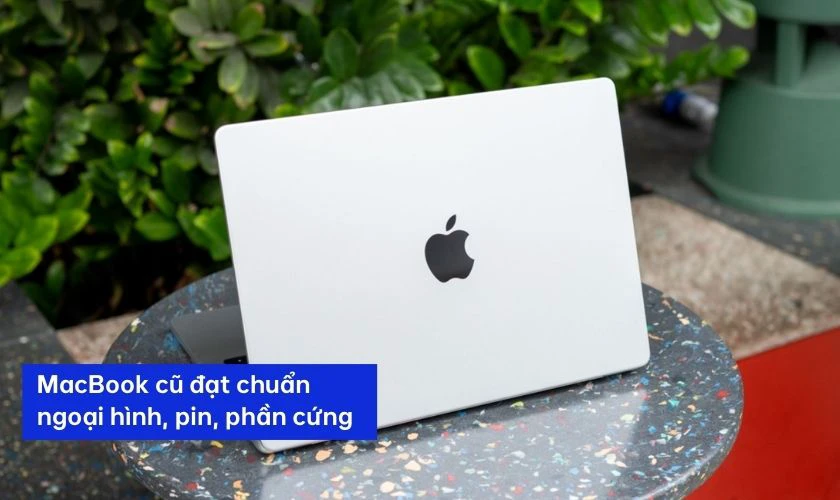 Chất lượng sản phẩm