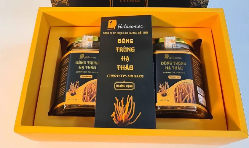 Đông trùng hạ thảo - Giúp cơ thể khỏe mạnh dài lâu