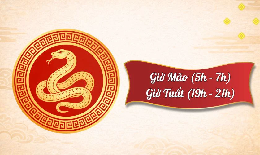 Tuổi Tỵ mua vàng ngày vía Thần Tài 2026 giờ nào tốt