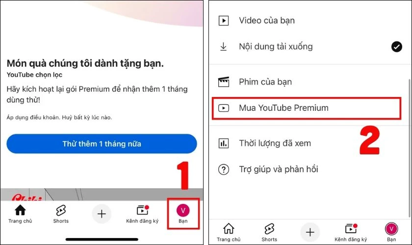 Mua gói YouTube Premium gia đình 1 năm trên điện thoại