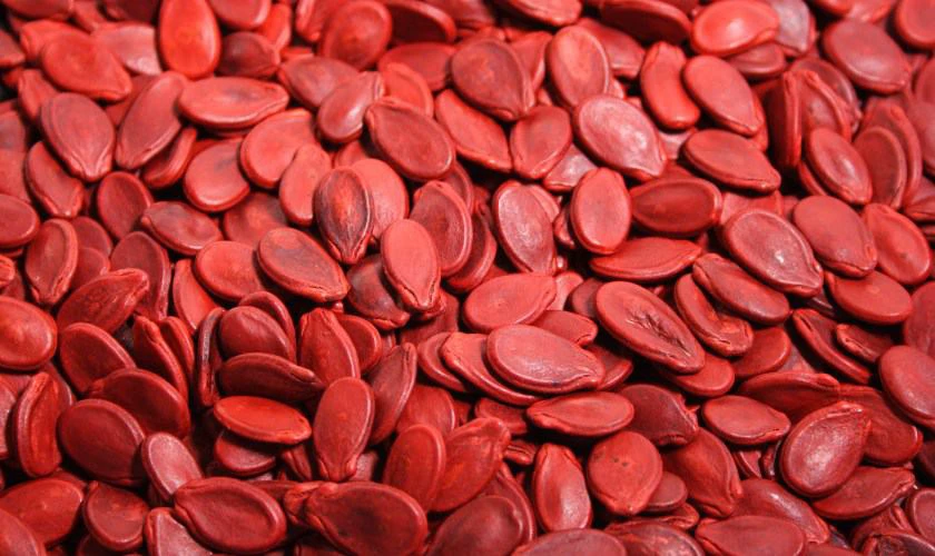 Hạt dưa đỏ là món ăn vặt truyền thống, không thể thiếu trên bàn khách dịp Tết