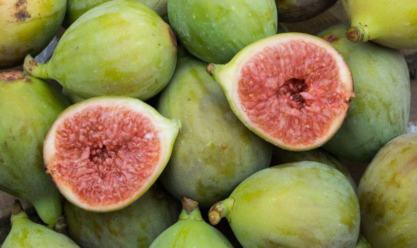 Quả sung là món không thể thiếu trong mâm ngũ quả ngày Tết