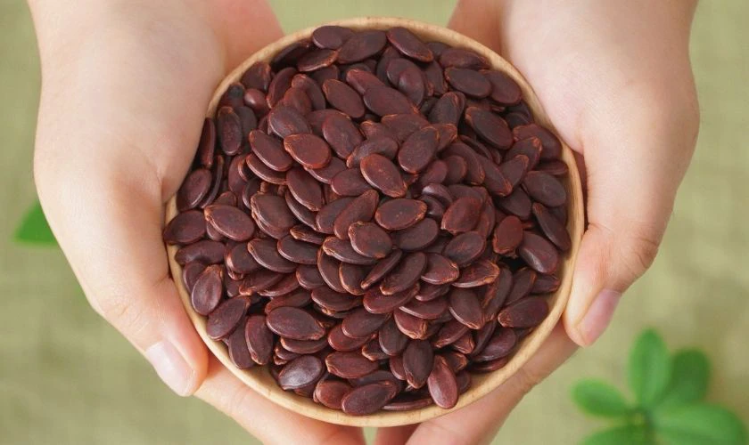 Hạt dưa đỏ - Mang lại tài lộc dồi dào