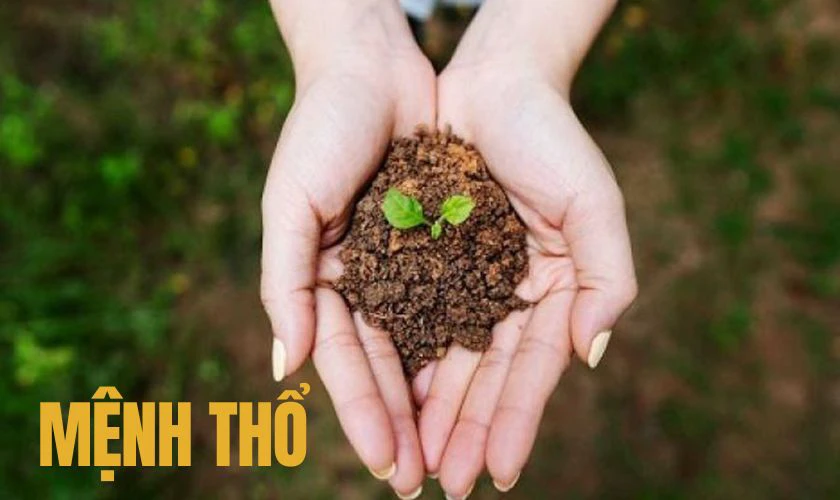 Mệnh Thổ Mùng 1 Tết Mặc Màu Gì?