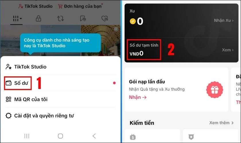 Chọn vào Số dư và nhấn vào Số dư tạm tính
