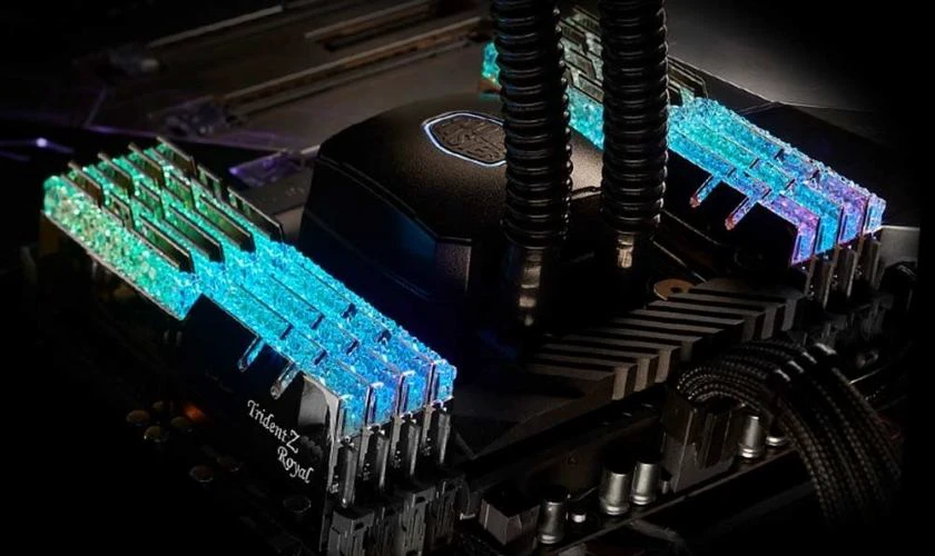 So sánh RAM Gskill và Kingston về thiết kế