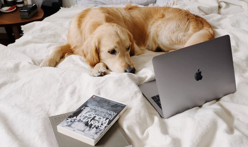 Nhược điểm khi mua MacBook để học tập, làm việc