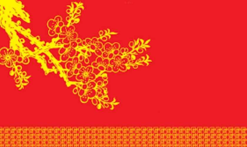 Ảnh hoa mai trang trí năm mới