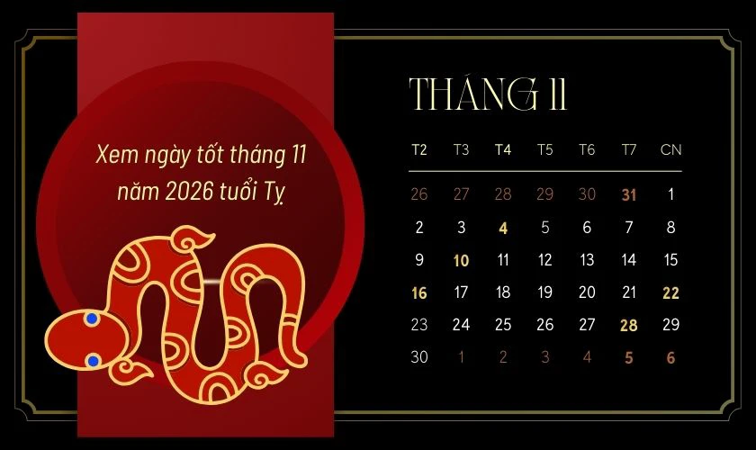 Xem ngày tốt tháng 11 năm 2026 tuổi Tỵ