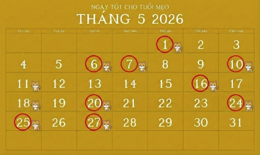 Xem ngày tốt tháng 5 năm 2026 tuổi Mẹo