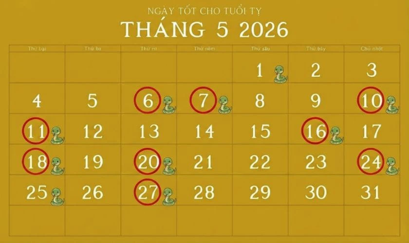 Xem ngày tốt tháng 5 năm 2026 tuổi Tỵ