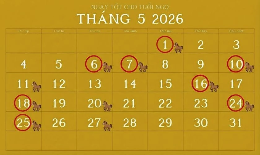 Xem ngày tốt tháng 5 năm 2026 tuổi Ngọ