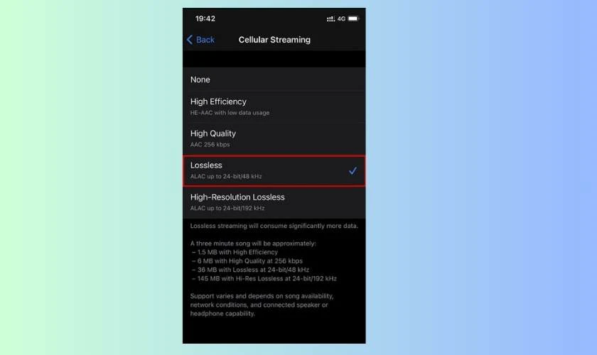 Nhấn Lossless Audio bật tính năng lên
