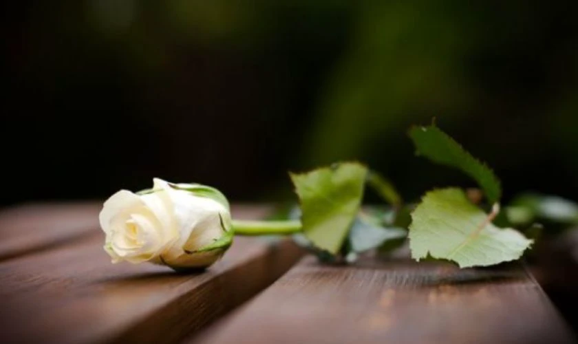 Kiêng Chụp Ảnh, Đăng Tải Không Khí Vui Tết Lên Mạng Xã Hội