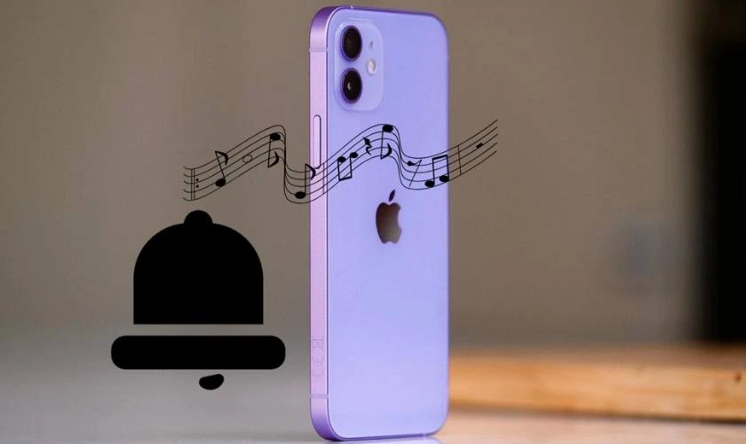 Nhạc chuông iPhone 12 Pro Max bị nhỏ là tình trạng gì