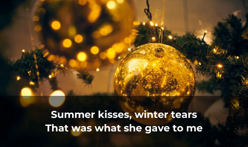 Summer Kisses Winter Tears