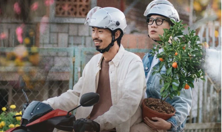 “Đi Về Nhà” Không Viết Riêng Cho Tết