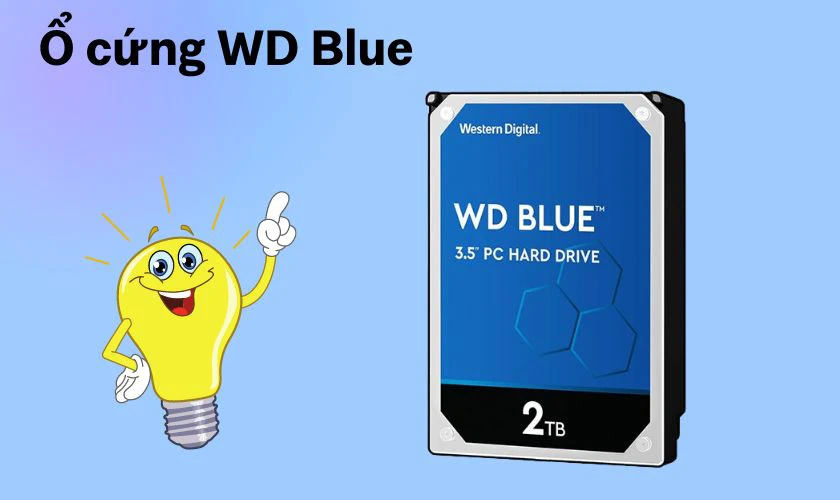 Ổ cứng laptop hãng nào tốt nhất, ổ cứng hãng Western Digital